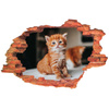 Naklejka na ścianę 3D Kot kotek rudy dostojny przystojniacha 90 cm na 60 cm