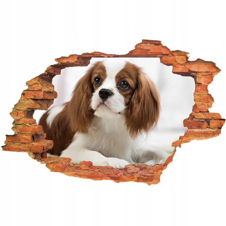 Naklejka na ścianę 3D Pies słodziak biało-brązowy 90 cm na 60 cm